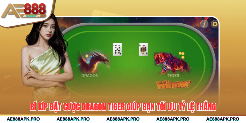 Bí kíp đặt cược Dragon Tiger giúp bạn tối ưu tỷ lệ thắng