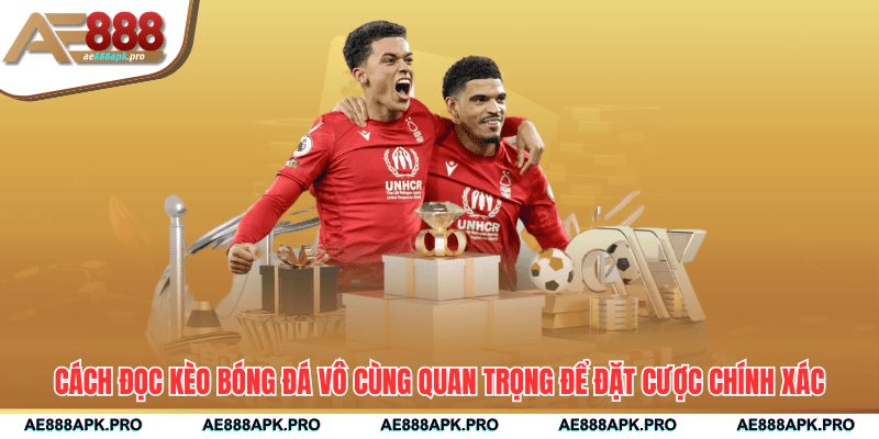 Cách đọc kèo bóng đá vô cùng quan trọng để đặt cược chính xác